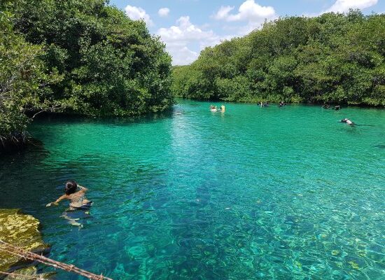 Casa Cenote Area near Dreams Tulum Resort & Spa featuring crystal-clear cenote waters, tropical scenery, and outdoor adventure opportunities